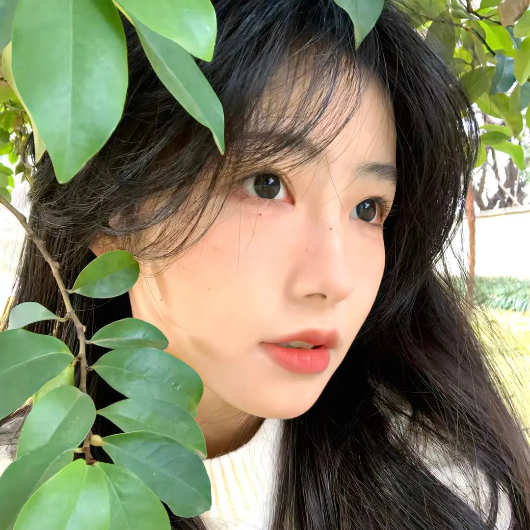科米的规则在线观看封面